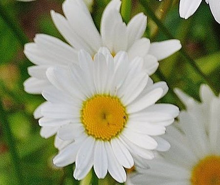 Gallery gardener gallery 2